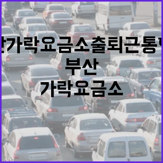 부산 가락요금소 출퇴근 통행료 전면 지원