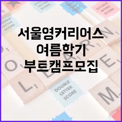 서울영커리어스 여름학기 부트캠프 모집 안내