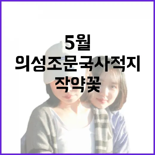의성 조문국사적지 5월 작약꽃 만개
