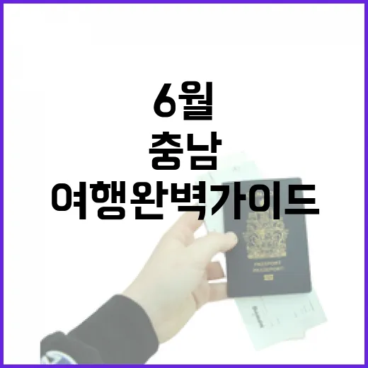 충남 6월 여행 완벽 가이드