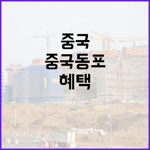 중국동포 부동산 세금 혜택은 사실무근