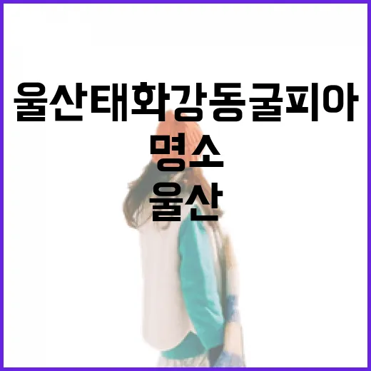 울산 태화강 동굴피아, 여름철 시원한 명소