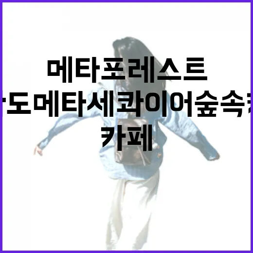 강화도 메타세쿼이아 숲속 카페 메타포레스트