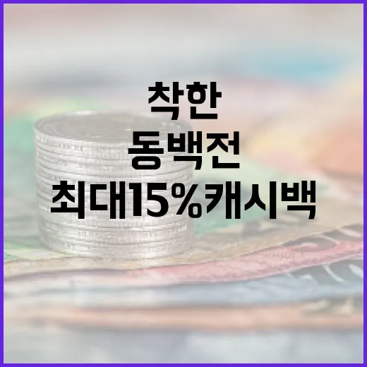 부산 착한 플러스 동백전 6월부터 최대 15% 캐시백