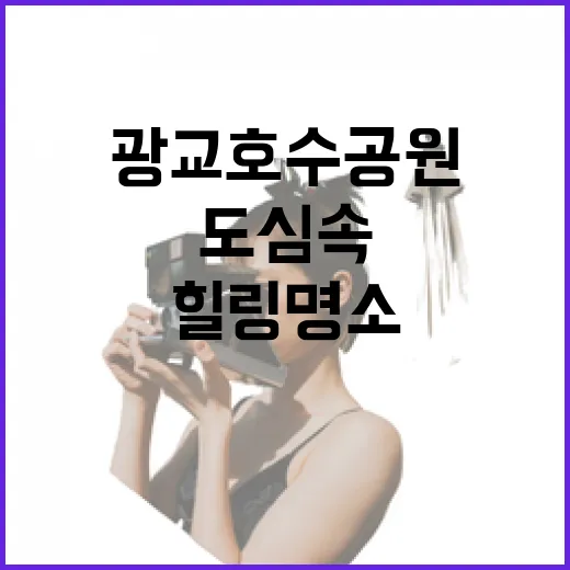광교호수공원, 도심 속 두 얼굴의 힐링 명소
