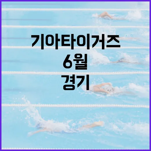 6월 광주 기아타이거즈 경기 총정리