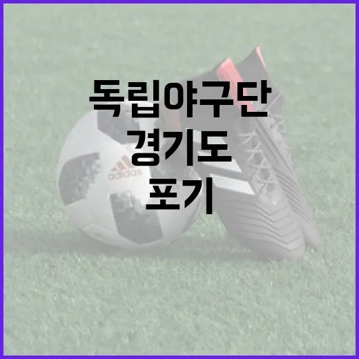 포기 없는 도전, 경기도 독립야구단 응원