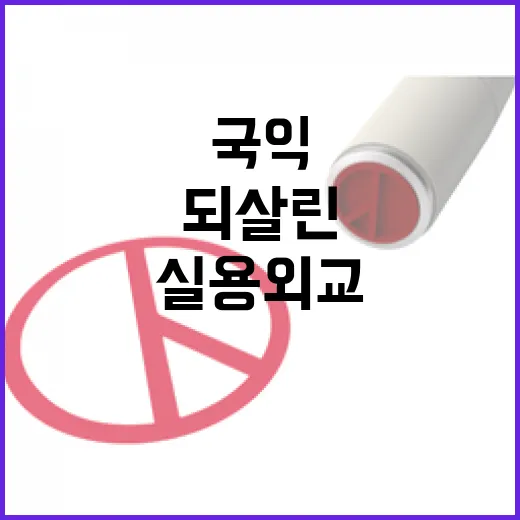 국익 중심 실용외교로 되살린 대한민국 외교