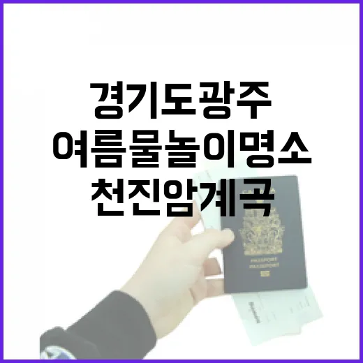 경기도 광주 천진암계곡, 여름 물놀이 명소 집중 탐방