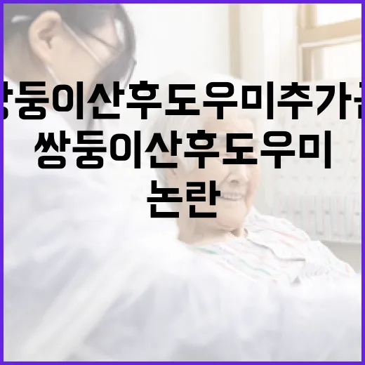 쌍둥이 산후도우미 추가금 논란 정부 입장