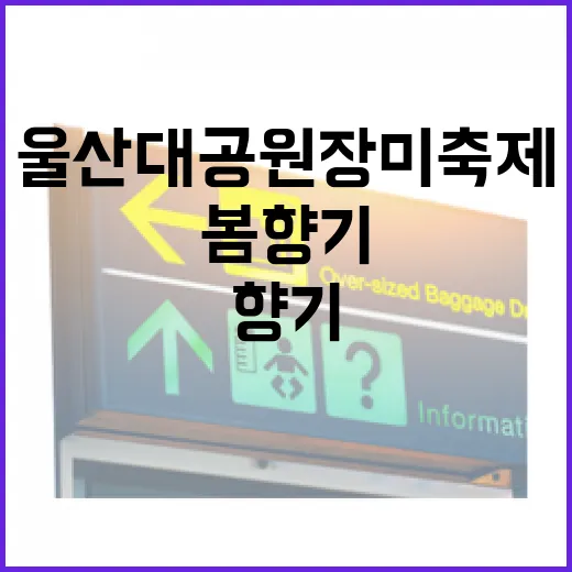 울산대공원 장미축제, 봄 향기 가득한 축제 현장
