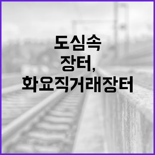 도심 속 화요 직거래 장터, 신선함과 정이 가득
