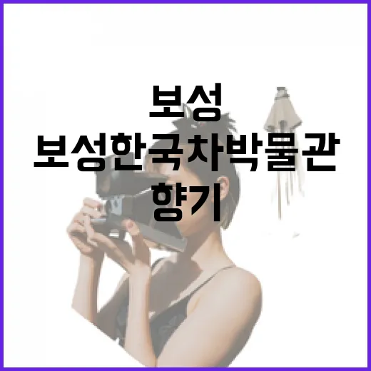 보성 한국차박물관에서 만나는 차 문화의 향기