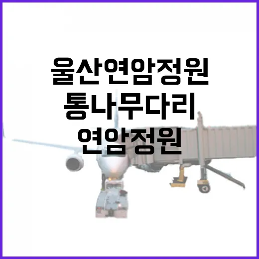 울산 연암정원 통나무 다리 명소