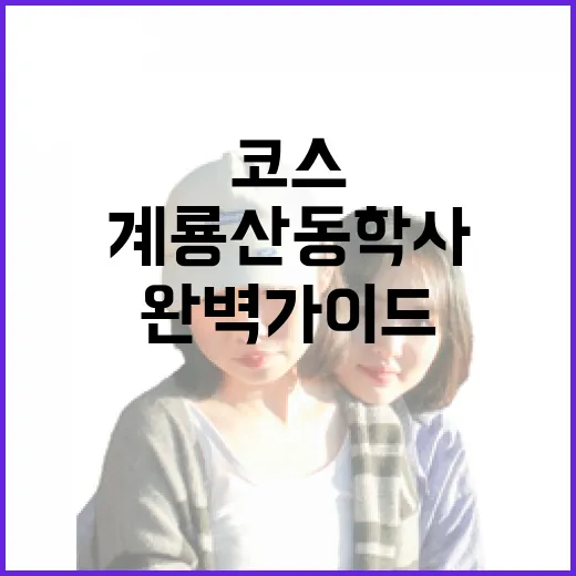 계룡산 동학사 코스, 주말 산행 완벽 가이드