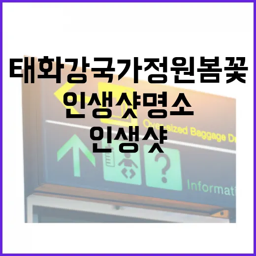 태화강 국가정원 봄꽃 향연과 인생샷 명소