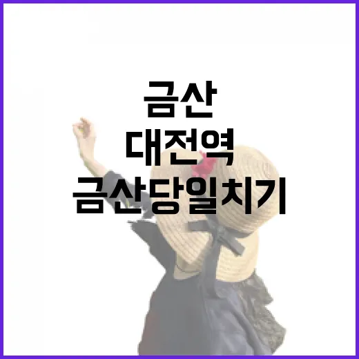 대전역서 바로 가는 금산 당일치기 코스