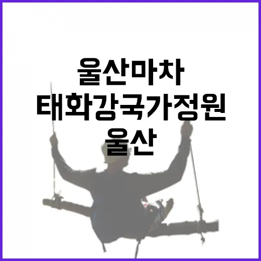 태화강 국가정원 울산마차 체험기