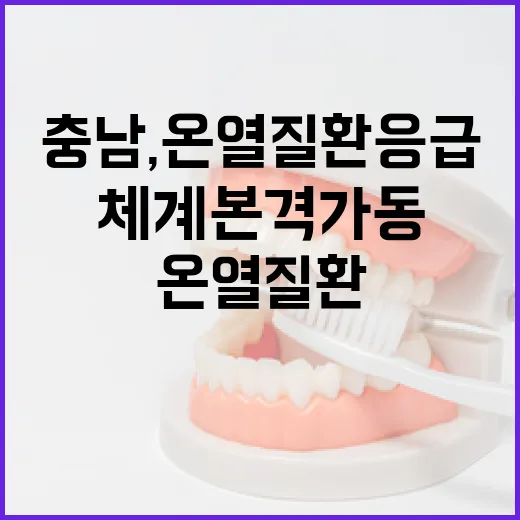 충남, 온열질환 응급체계 본격 가동