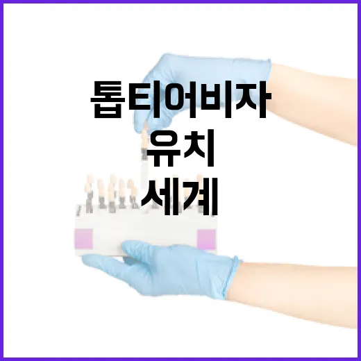 톱티어 비자 확대, 세계 과학자 유치 가속