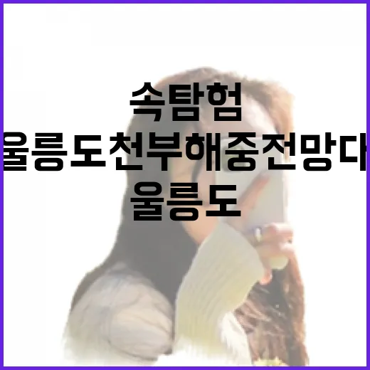 울릉도 천부 해중 전망대 깊은 바다 속 탐험