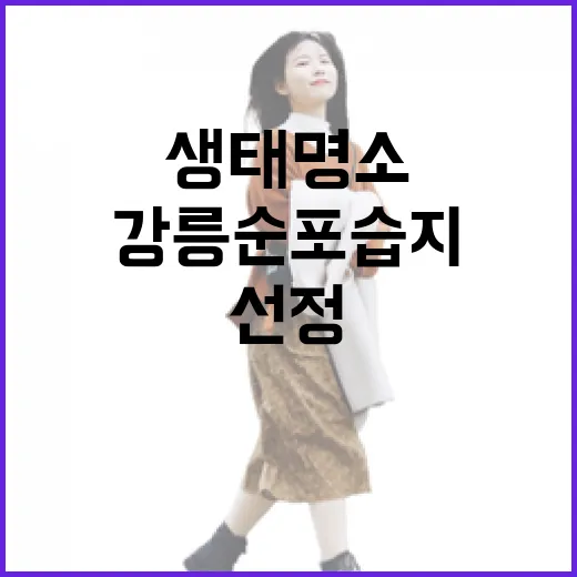 초여름 강릉 순포습지 생태명소 선정