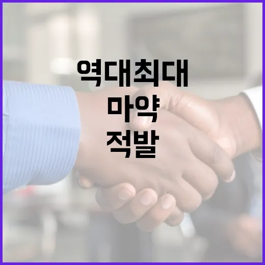 관세청, 마약·불법총기 역대 최대 적발 성과