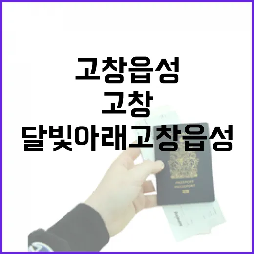 달빛 아래 고창읍성의 찬란한 밤
