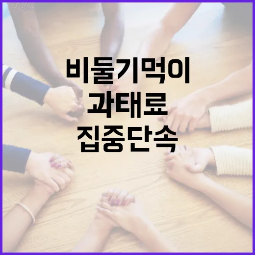 서울 비둘기 먹이주기 집중단속, 최대 100만원 과태료