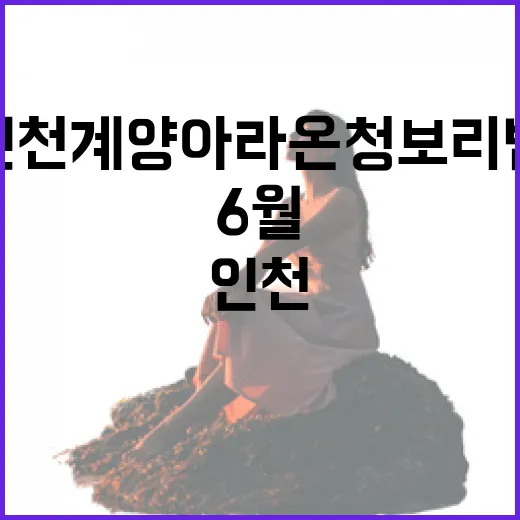 인천 계양아라온 청보리밭, 6월 힐링 명소