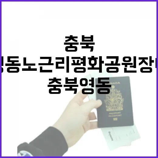 충북 영동 노근리평화공원 장미 명소