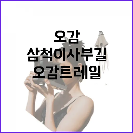 삼척 이사부길 오감트레일 성황리 마무리