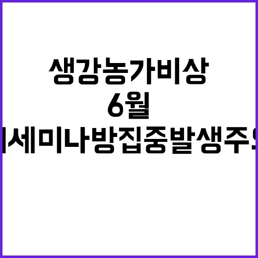 생강 농가 비상, …