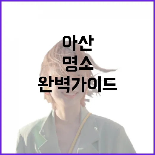 서울서 1시간, 아산 명소 완벽 가이드