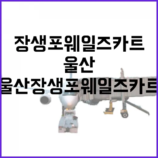 울산 장생포 웨일즈카트 체험기