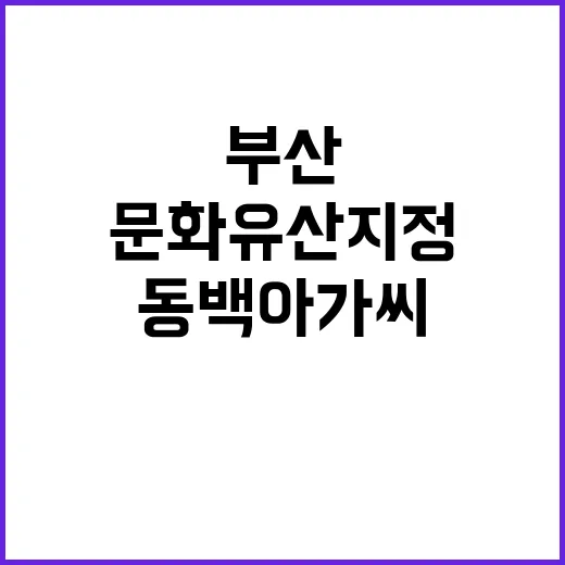 부산, 동백아가씨 …