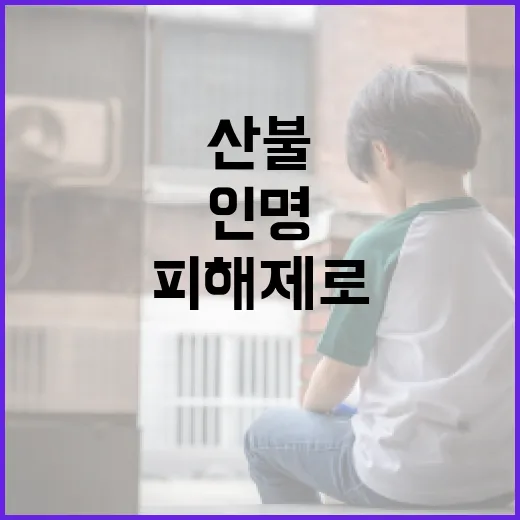 산불 피해 99% 줄이고 인명피해 제로 달성