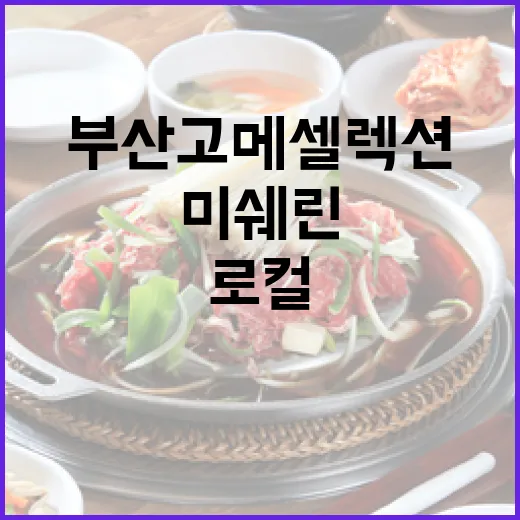 부산 고메 셀렉션, 미쉐린과 로컬 맛집의 미식 대향연