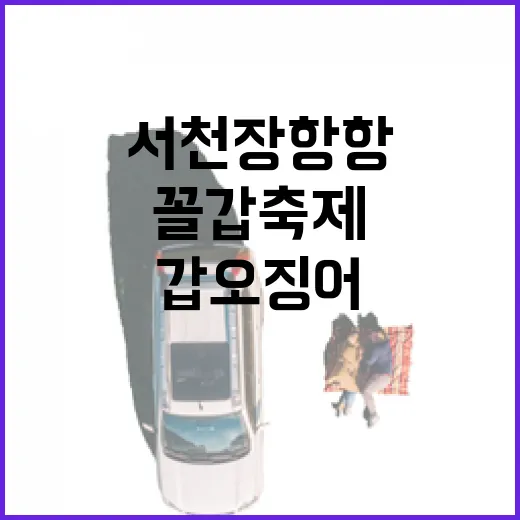 서천 장항항 꼴갑축제, 갑오징어 맨손잡기 체험 인기