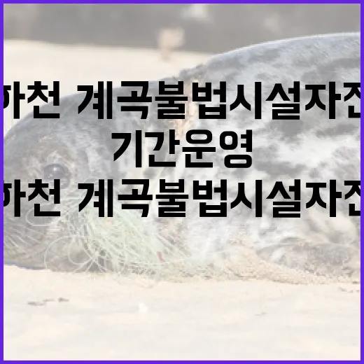 인천 하천·계곡 불법시설 자진 신고 기간 운영