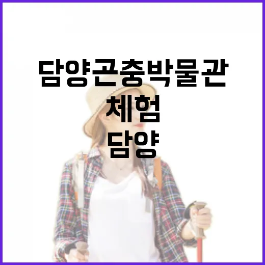 담양 곤충박물관에서 만나는 생태 체험의 즐거움