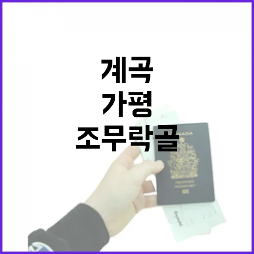 가평 조무락골, 청정 1급수 계곡의 생태 힐링 명소