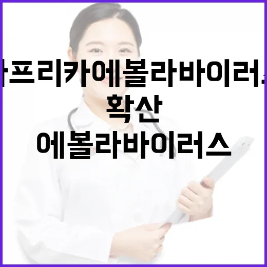 아프리카 에볼라바이러스병 확산 경계