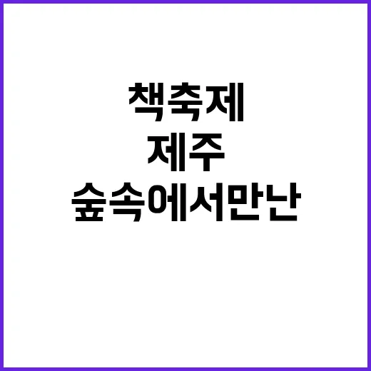 제주 책축제, 숲속…