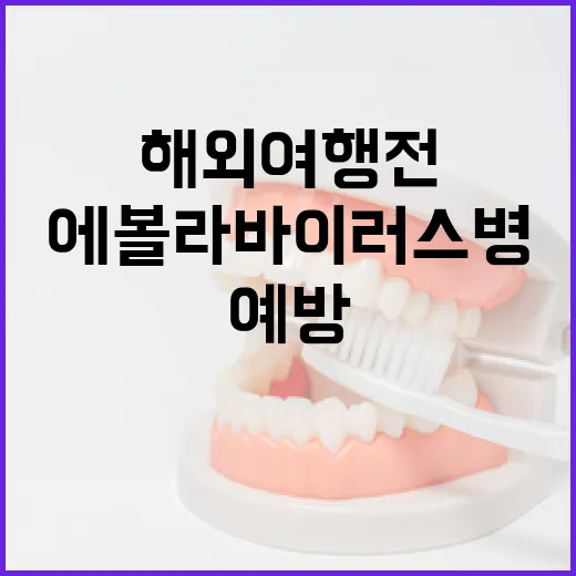 해외여행 전 필독, 에볼라바이러스병 예방 핵심