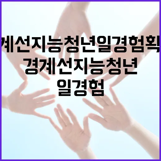 경계선지능 청년 일 경험 확대 협력 시작