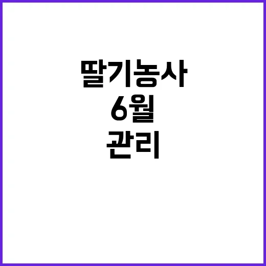 6월 집중 관리로 …