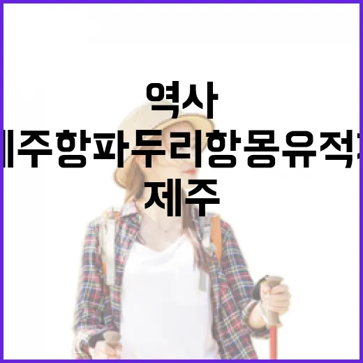 제주 항파두리 항몽유적지, 역사의 숨결을 걷다