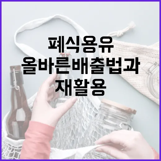 기본소득 도입 연구, 재원 마련 과제 남아