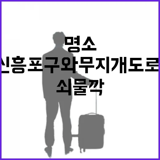 신흥포구와 무지개도로, 쇠물깍 생태명소